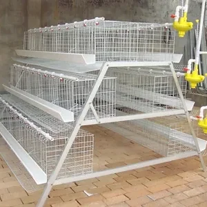 Bird Egg Laying Cages