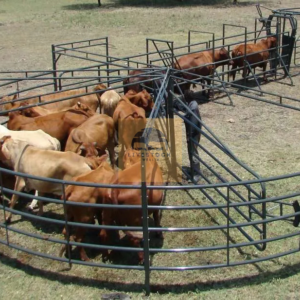 Circular Force Pen (Half-Moon Only)