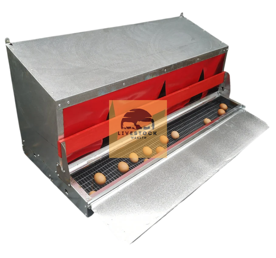 Nest Loading Machine Free Range Medium Nest Box – Rollaway Nest Box for 50–75 Hens
