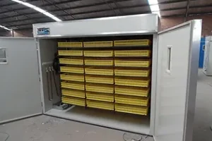 Egg Incubators & Hatchers