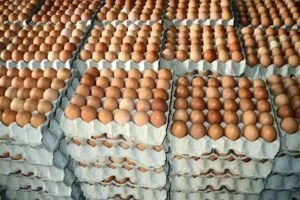Fresh Brown Table Eggs