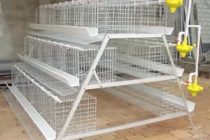 Layer Cage